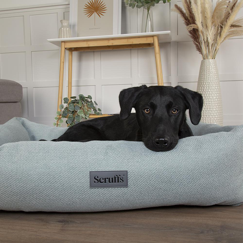 Visuel 3 du produit Scruffs Couchage Chien Corbeille Seattle Vert - Taille M 60 x 50 x 16 cm