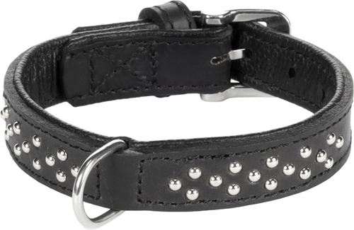 Visuel 1 du produit Collier Chien - Flamingo Collier Rondo clouté Noir - 52 x 3 x 0,5 cm