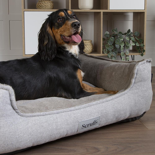 Visuel 6 du produit Scruffs Couchage Chien Orthopédique Corbeille Harvard Marron - Taille XL 90 x 70 x 20 cm