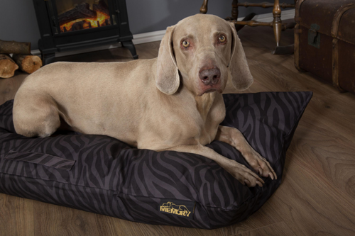 Visuel 9 du produit Couchage Chien – Scruffs Coussin Expédition Noir – Taille L