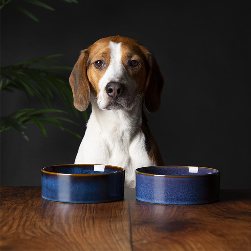 Visuel 7 du produit Scruffs Gamelle Chien Céramique Bleu nuit - 19 x19 x 8 cm