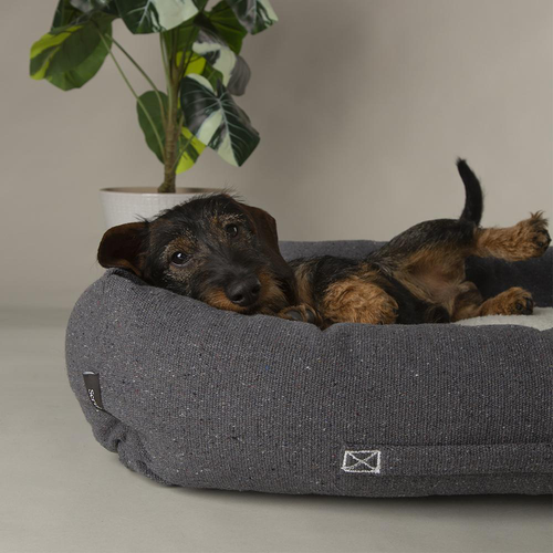 Visuel 3 du produit Scruffs Couchage Chien Corbeille Eco Eden Gris - Taille M 60 x 50 cm
