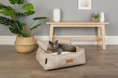 Visuel 6 du produit Couchage Chien – Scruffs Corbeille Kensington Beige – Taille XL
