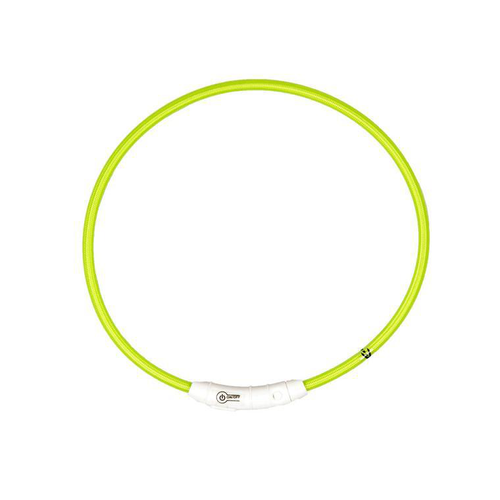 Visuel 1 du produit Collier Chien - Duvoplus Anneau flash light USB vert - 65 cm