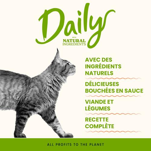 Visuel 6 du produit Sachet Chat - Almo Nature Daily avec poulet et canard - 70 gr