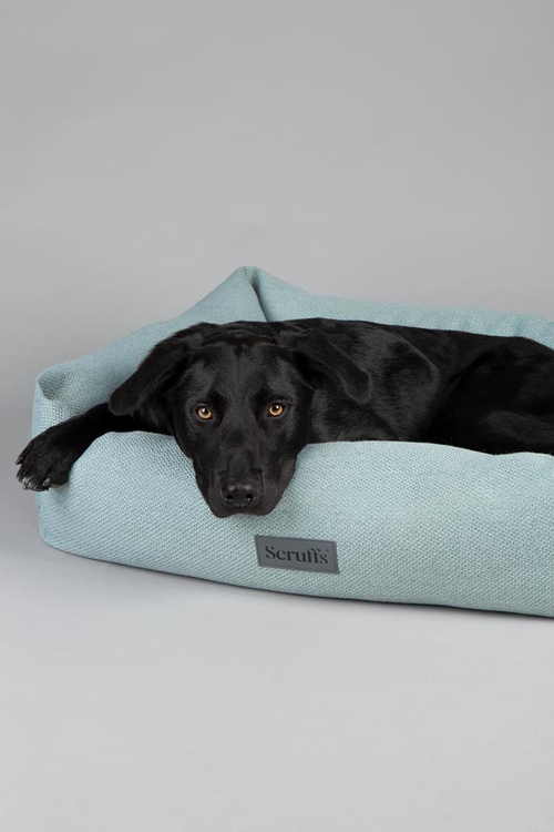 Visuel 4 du produit Scruffs Couchage Chien Corbeille Seattle Vert - Taille M 60 x 50 x 16 cm