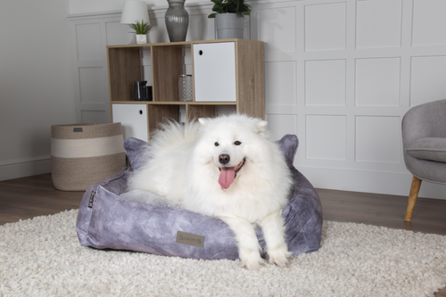 Visuel 6 du produit Couchage Chien – Scruffs Corbeille Kensington Gris – Taille XL
