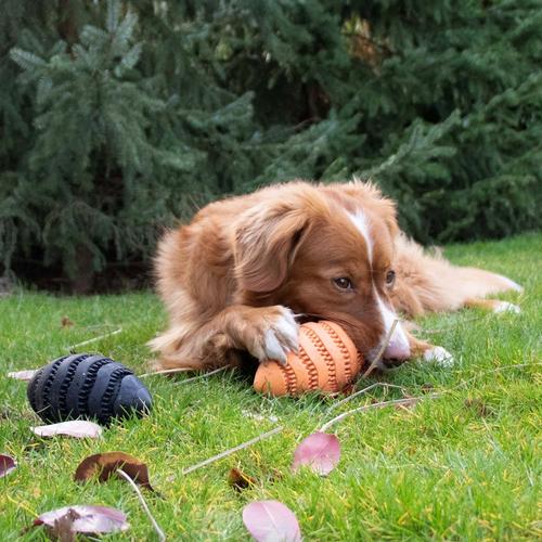 Visuel 5 du produit Bite Me Jouet Chien Distributeur De Friandises Caoutchouc Noir Rugby Nibble - Taille L 15 x 8,6 x 8,6 cm