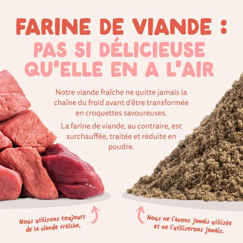 Visuel 10 du produit Edgard & Cooper Croquettes Chien Senior Poulet Saumon Sans Céréales - 2,5 kg
