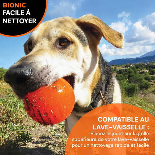 Visuel 4 du produit Bionic Jouet Chien Balle Orange L - Ø 8 cm
