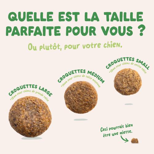 Visuel 6 du produit Edgard & Cooper Croquettes Chien Adulte Agneau Sans Céréales - 7 kg