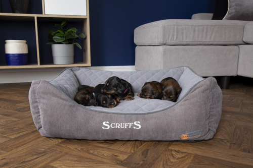 Visuel 7 du produit Couchage Chien - Scruffs Corbeille Thermal Taille S Gris - 50 x 40 cm
