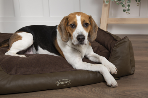 Visuel 4 du produit Couchage Chien – Scruffs Corbeille Hilton Marron – Taille XL