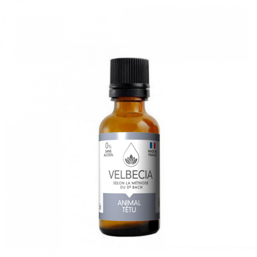 Visuel 1 du produit Velbecia Martin Sellier Fleurs De Bach Animal Têtu Sans Alcool Made In France - 30 ml