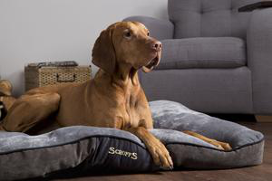 Visuel 1 du produit Couchage Chien – Scruffs Coussin Chester Gris – Taille L