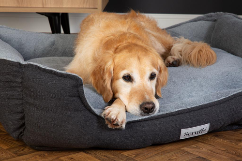 Visuel 6 du produit Scruffs Couchage Chien Orthopédique Corbeille Harvard Gris - Taille XL 90 x 70 x 20 cm