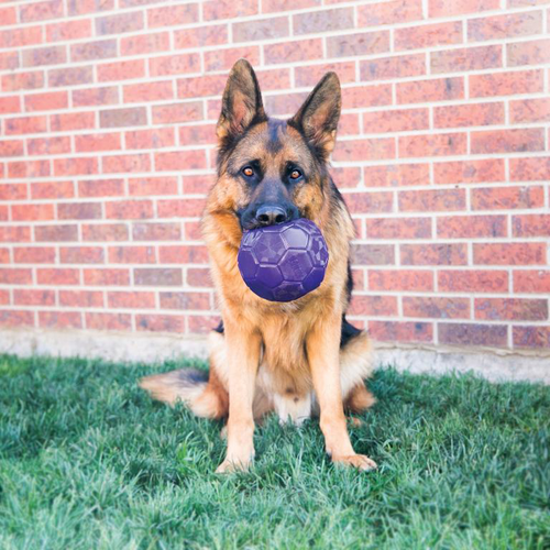 Visuel 3 du produit Kong Jouet Chien Flexball Violet