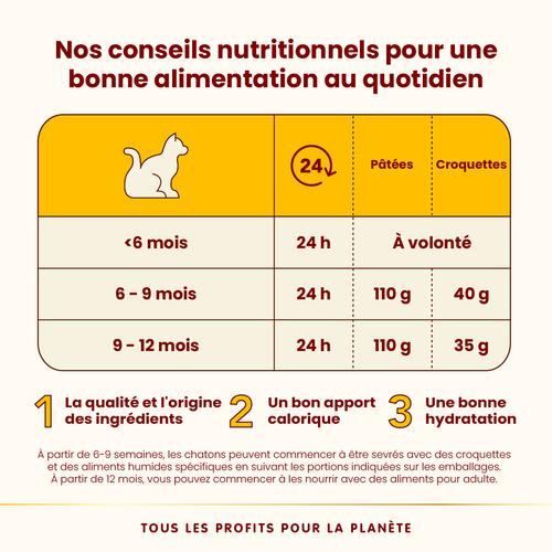 Visuel 4 du produit Boîte Chaton – Almo Nature HFC Natural Poulet 70 gr