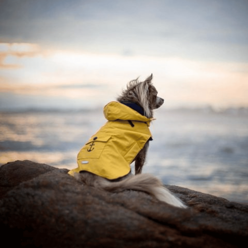 Visuel 3 du produit Wouapy Ciré Basic jaune