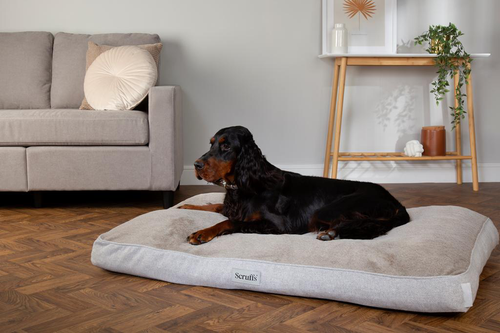 Visuel 5 du produit Scruffs Couchage Chien Coussin Orthopédique Harvard Marron - Taille L 100 x 70 x 12 cm