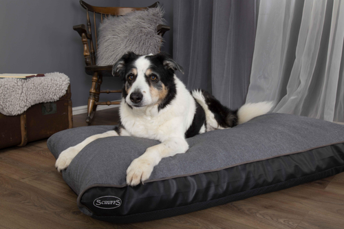Visuel 9 du produit Couchage Chien – Scruffs Coussin Hilton Gris – Taille XL