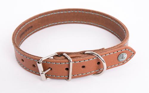 Visuel 1 du produit Martin Sellier Collier Chien Cuir Cognac Turquoise Flash - Taille 18/35
