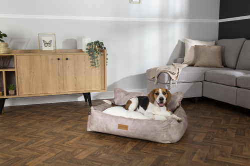 Visuel 5 du produit Couchage Chien – Scruffs Corbeille Kensington Beige – Taille XL