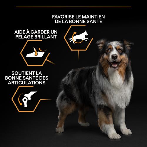 Visuel 8 du produit Croquettes Chien - ProPlan Medium Adult - 14 + 2,5 kg offerts