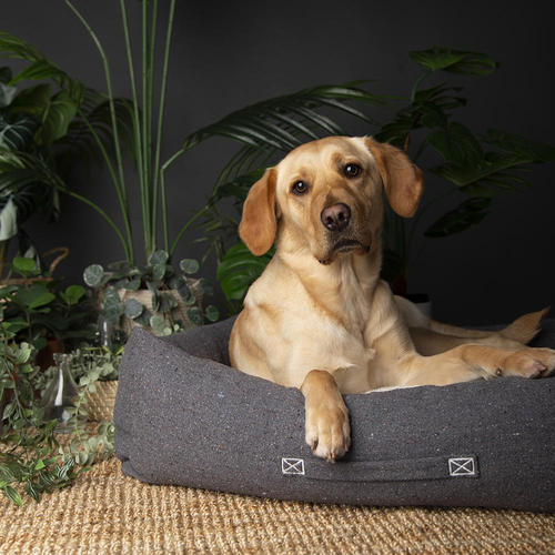 Visuel 4 du produit Scruffs Couchage Chien Corbeille Eco Eden Gris - Taille L 75 x 60 cm