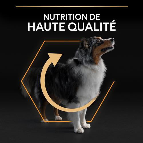 Visuel 9 du produit Croquettes Chien - ProPlan Medium Adult - 14 + 2,5 kg offerts