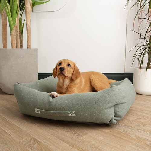 Visuel 4 du produit Scruffs Couchage Chien Corbeille Eco Eden Vert - Taille M 60 x 50 cm