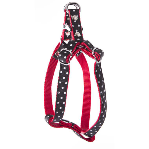 Visuel 1 du produit Harnais baudrier Pois pour chien coloris noir - XS
