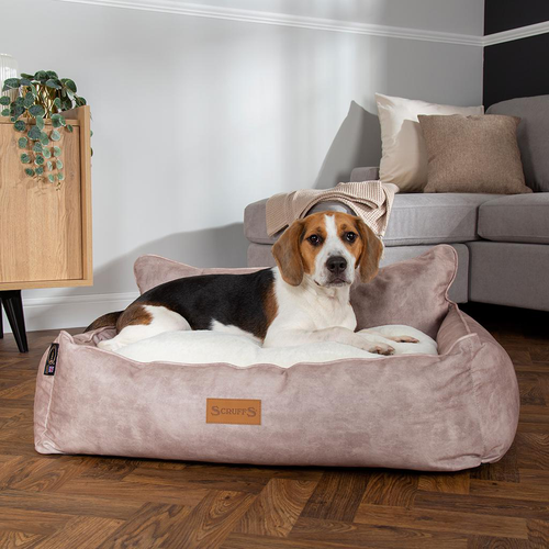 Visuel 10 du produit Couchage Chien – Scruffs Corbeille Kensington Beige – Taille XL