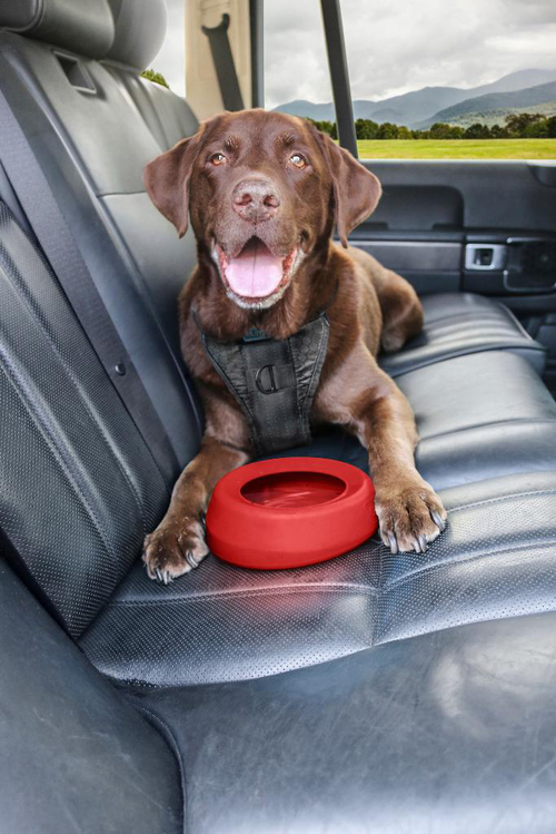 Visuel 3 du produit Gamelle voyage Chien - Petsafe Bol anti-débordement Splash Rouge - 22,8 x 18 x 7,6 cm