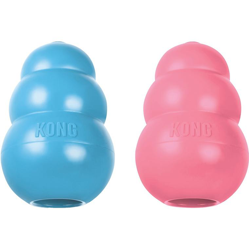 Visuel 1 du produit Jouet Chien - KONG® Puppy - taille M - 5,4 x 8,4 cm - coloris aléatoire