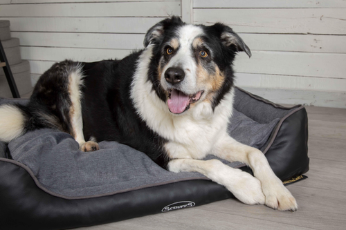 Visuel 5 du produit Couchage Chien – Scruffs Corbeille Hilton Gris – Taille XL
