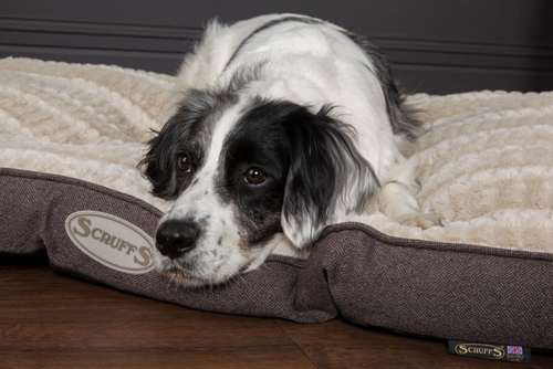 Visuel 7 du produit Couchage Chien â€“ Scruffs Coussin Ellen Gris â€“ Taille M