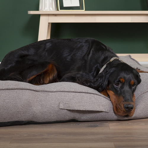 Visuel 5 du produit Scruffs Couchage Chien Coussin Seattle Gris - Taille M 80 x 60 x 14 cm