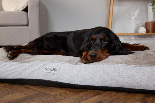 Visuel 6 du produit Scruffs Couchage Chien Orthopédique Coussin Harvard Marron - Taille XL 120 x 75 x 16 cm