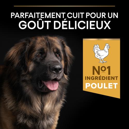 Visuel 4 du produit Croquettes Chien - ProPlan Large Adult Robust - 14 + 2,5 kg offerts