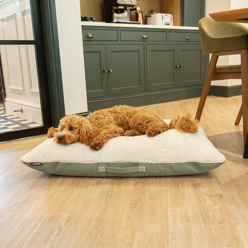 Visuel 3 du produit Scruffs Couchage Chien Coussin Eco Eden Vert - Taille M 80 x 60 cm