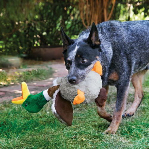 Visuel 3 du produit Kong Jouet Chien Shakers Honkers Canard S - 9,53 x 10,8 x 26,67 cm
