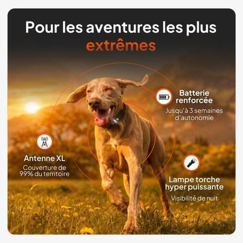 Visuel 6 du produit Weenect GPS Chien Sans Collier Noir XT