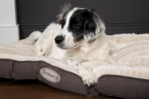 Visuel 7 du produit Couchage Chien â€“ Scruffs Coussin Ellen Gris â€“ Taille L