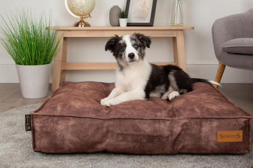 Visuel 7 du produit Couchage Chien – Scruffs Coussin Kensington Marron – Taille L