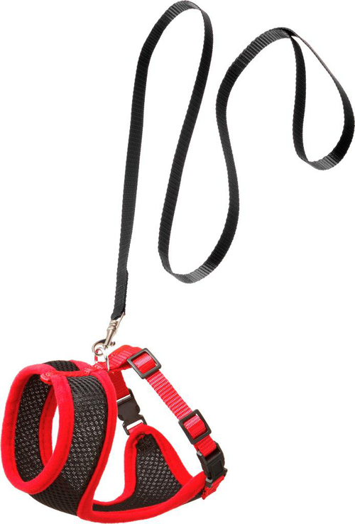 Visuel 1 du produit Harnais Chat - Flamingo Harms Noir et rouge - Taille L