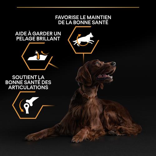 Visuel 8 du produit Croquettes Chien - ProPlan Large Adult Athletic - 14 + 2,5 kg offerts