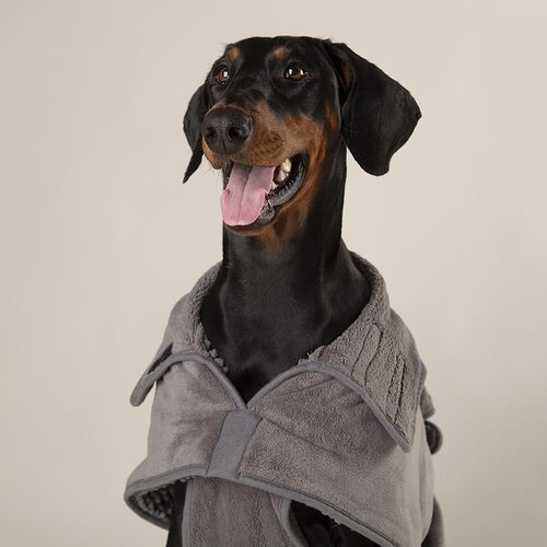 Visuel 4 du produit Scruffs Manteau Chien Ultra Absorbant Noodle Gris - Taille XL