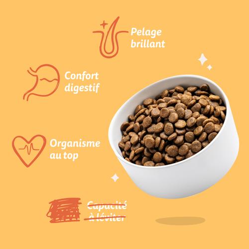 Visuel 7 du produit Edgard & Cooper Croquettes Chien Adulte Poulet Sans Céréales - 7 kg