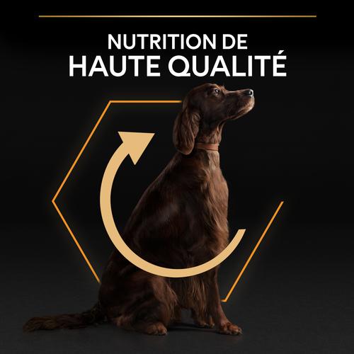 Visuel 9 du produit Croquettes Chien - ProPlan Large Adult Athletic - 14 + 2,5 kg offerts